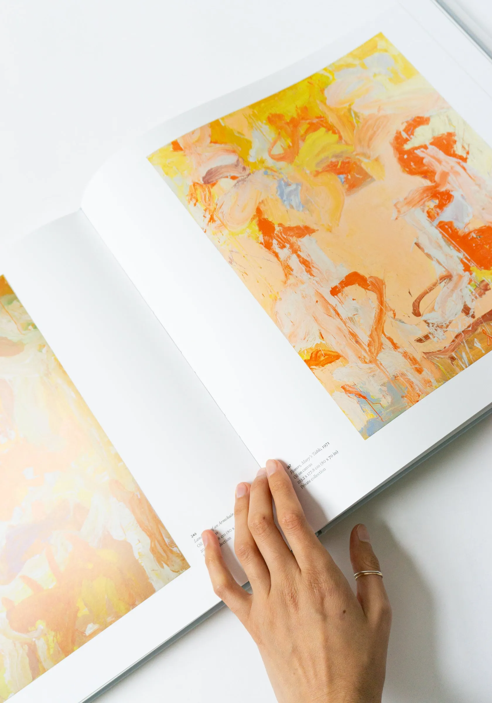 A Way of Living: The Art of Willem De Kooning