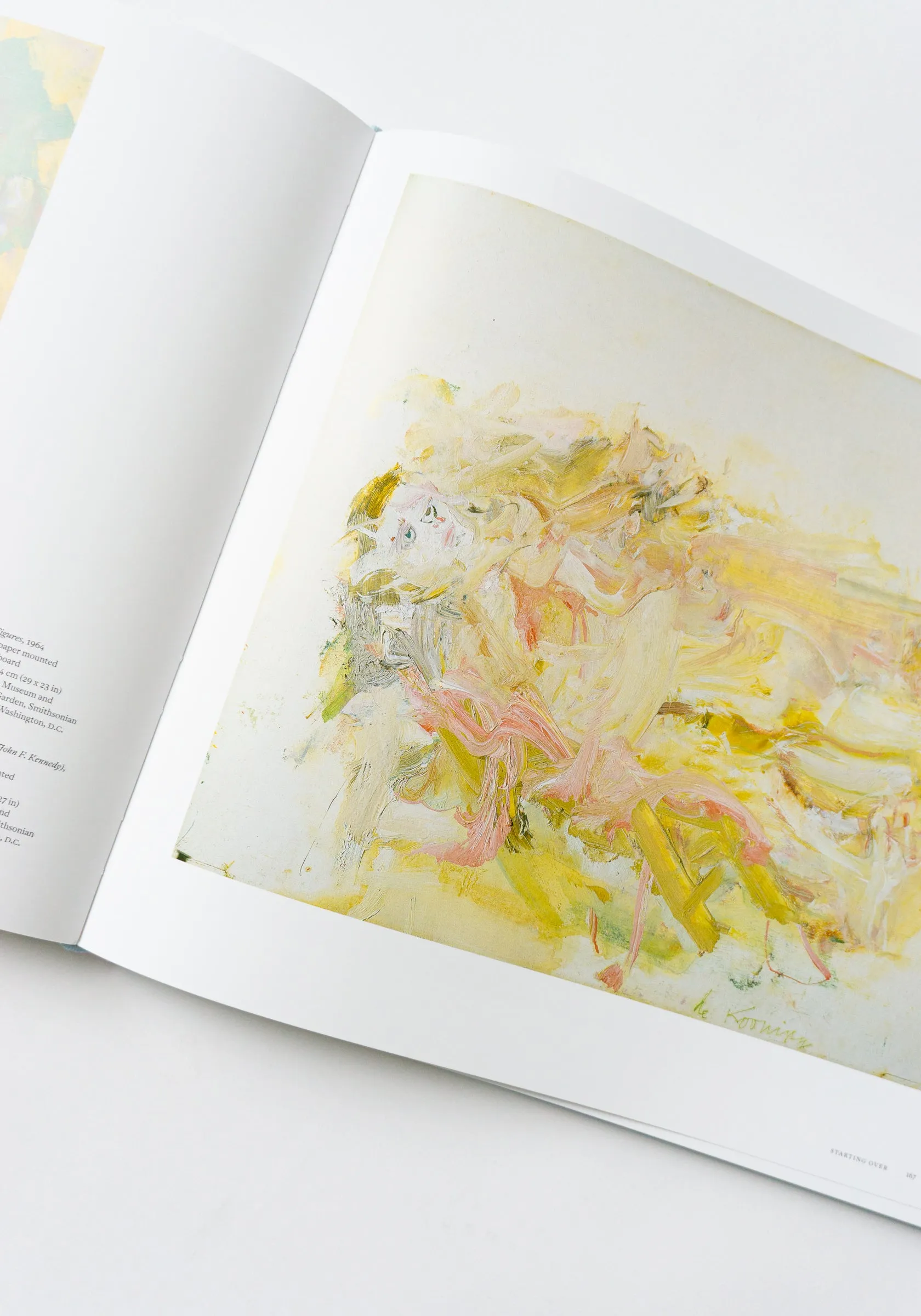 A Way of Living: The Art of Willem De Kooning