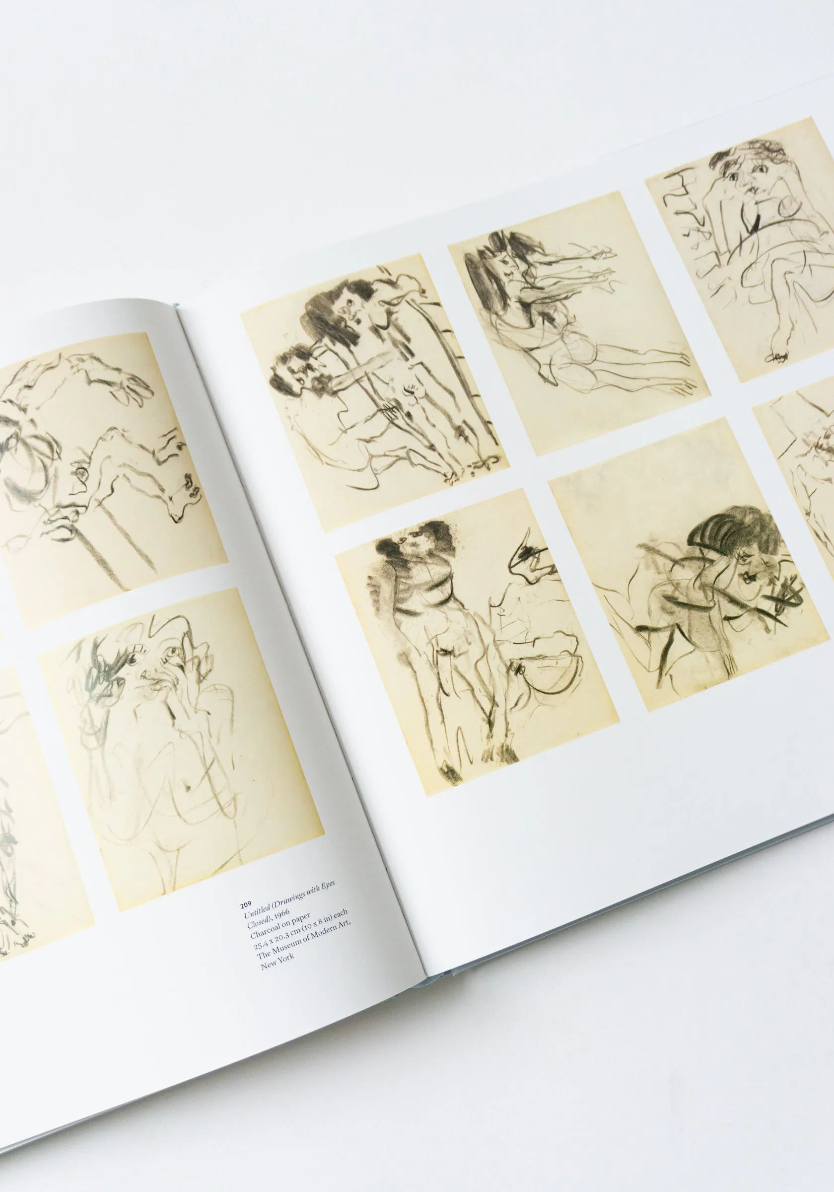 A Way of Living: The Art of Willem De Kooning