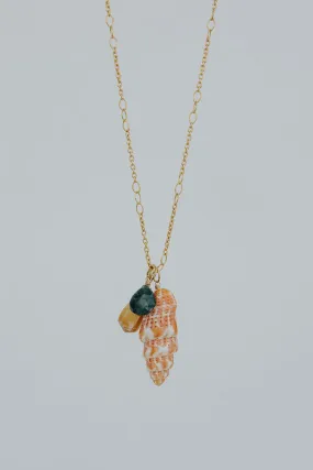 Miter Shell Pile Necklace - Grandidierite