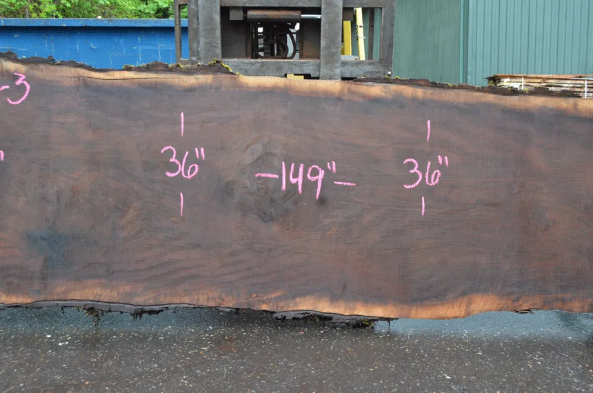 Oregon Black Walnut Slab 052021-03