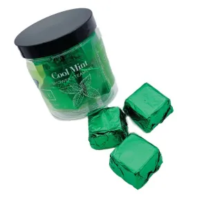 Shower Steamers - Cool Mint (6 per Jar)